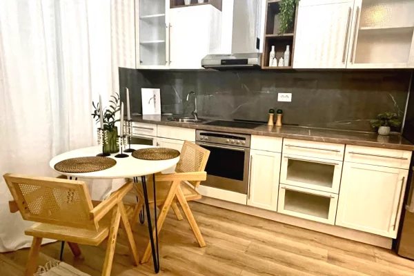 Apartment for rent in Tirana 1+1, Furnished