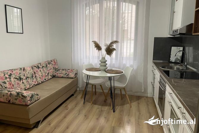 Shtepi me qera Apartament ne Tirane, 1+1, Mobilimi E mobiluar, Pagesa 500  Euro.