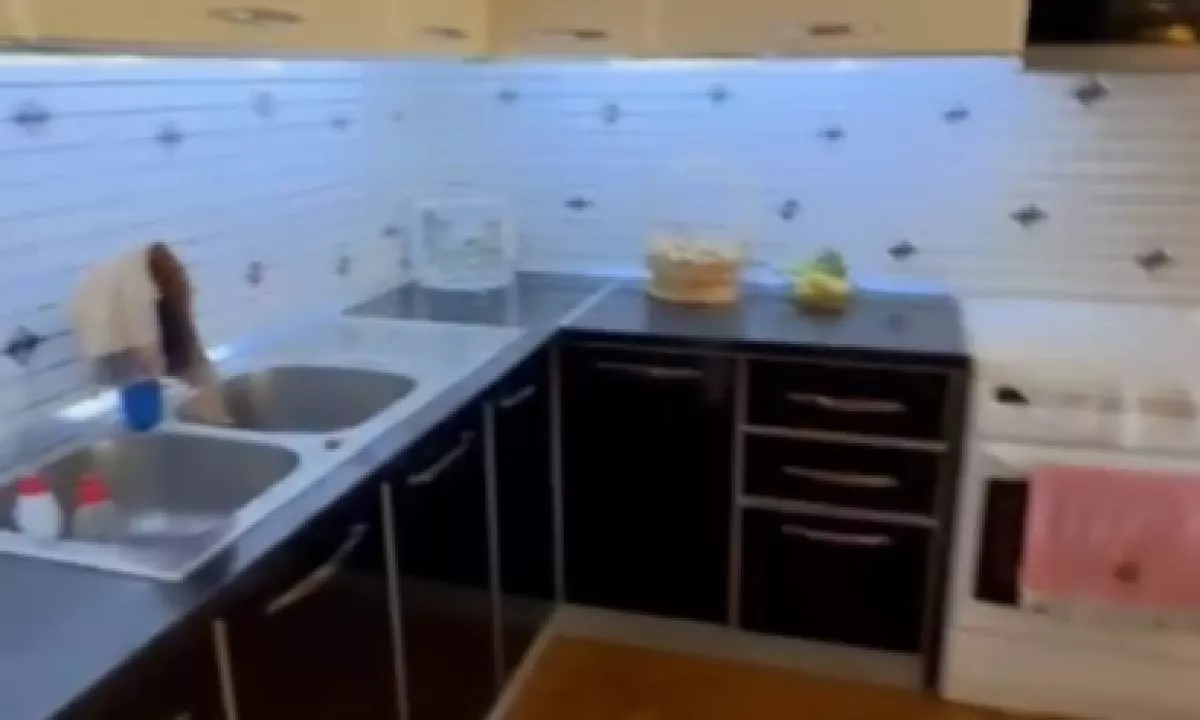Foto 5