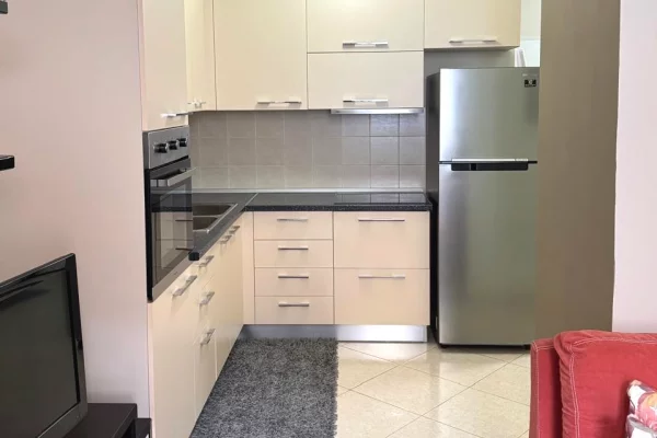 Shtepi me qera 1+1 ne Tirane - 38,000 Leke