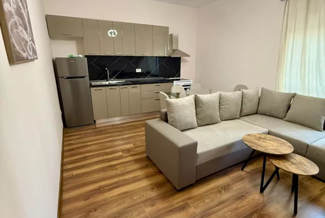 Apartment for rent in Tirana 1+1, Furnished
