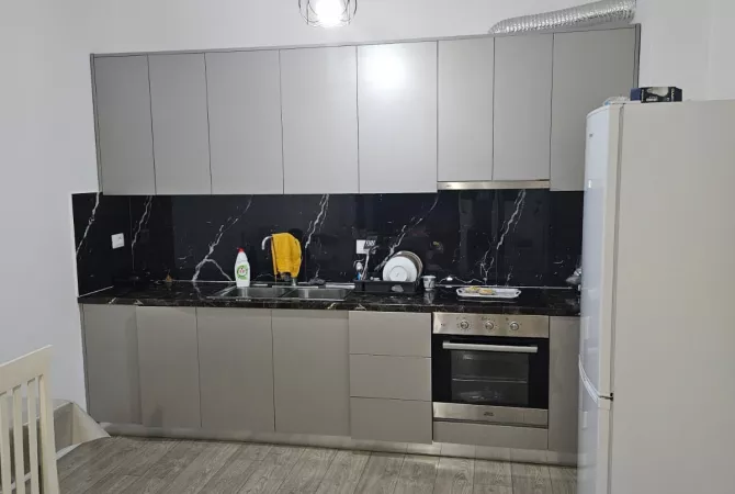 Shtepi me qera Apartament ne Tirane, 1+1, Mobilimi E mobiluar, Pagesa 500  Euro.