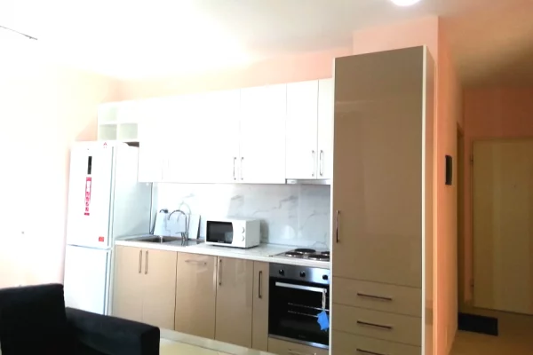 Apartment for rent in Tirana 1+1, Furnished