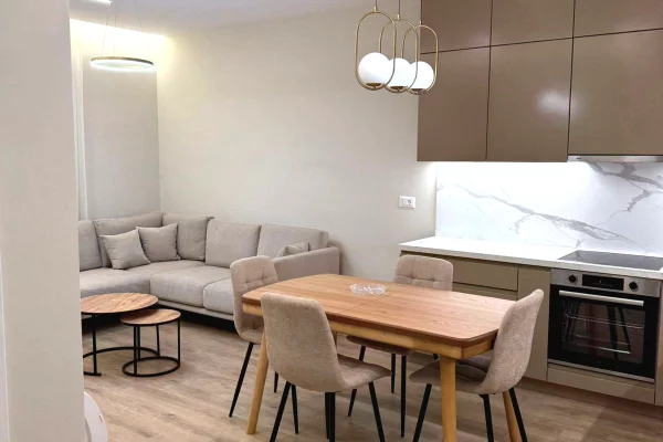 Shtepi me qera 1+1 ne Tirane - 70,000 Leke