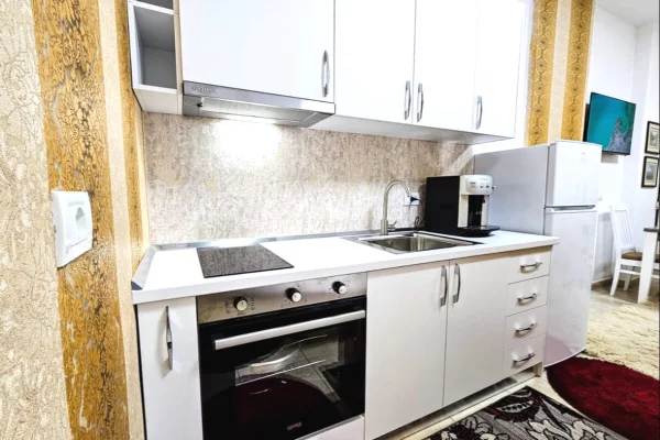 Shtepi me qera Apartament ne Tirane, Garsoniere, Mobilimi E mobiluar, Pagesa 400  Euro.