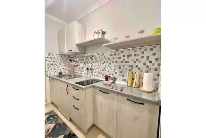 Shtepi me qera Apartament ne Tirane, Garsoniere, Mobilimi E mobiluar, Pagesa 450  Euro.