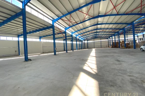 Business Property for Rent 4+1 in Tirana - 4,000 Euro
