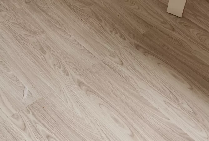 Professional Services in Tirana - 3,000 Euro