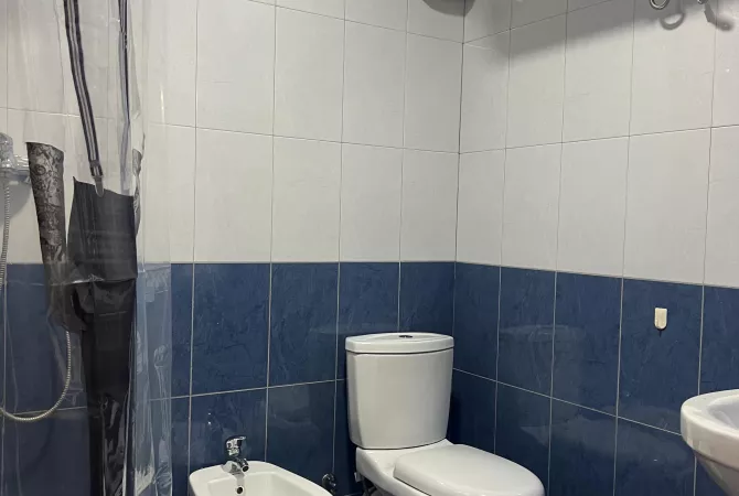 Shtepi me qera Apartament ne Tirane, 1+1, Mobilimi E mobiluar, Pagesa 700  Euro.