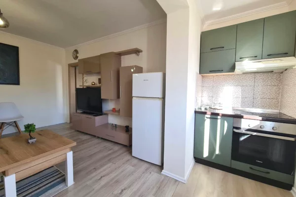 Shtepi ne shitje 1+1 ne Tirane - 88,000 Euro