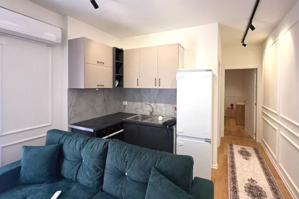 Shtepi me qera 1+1 ne Tirane - 55,000 Leke