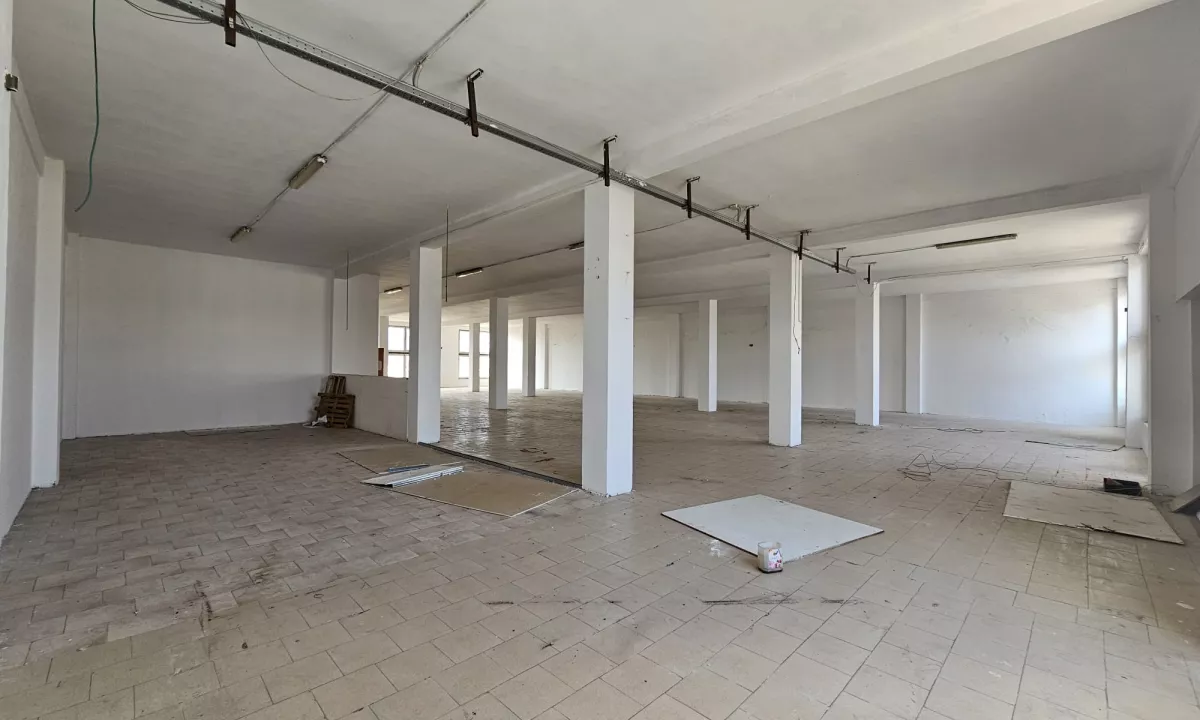 Foto 11