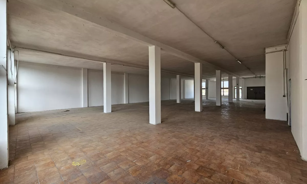 Foto 21