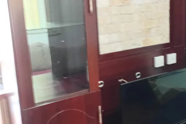 Shtepi me qera 1+1 ne Tirane - 30,000 Leke