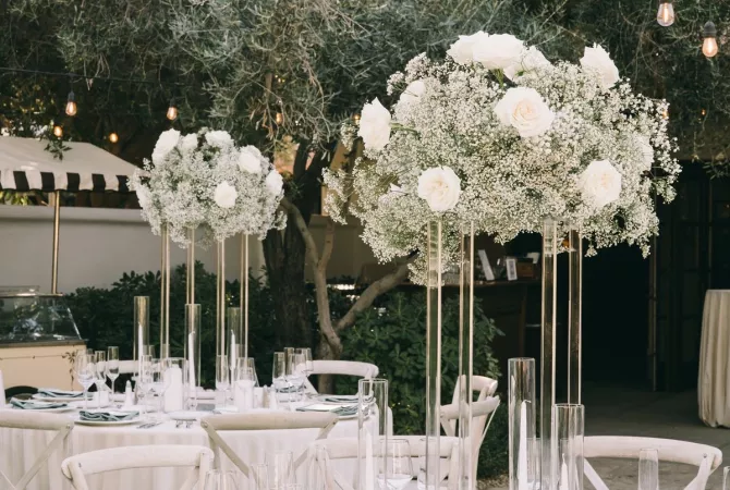 Job Offers in Tirana, Profession Dekorues , No Experience, Payment By Agreement.