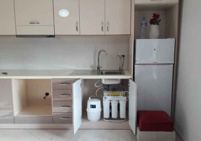 Professional Services  a Elbasan - 20 Euro