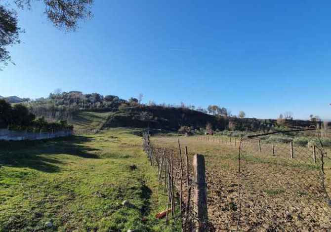 Truall ose Toke ne Tirane - 225,000 Euro