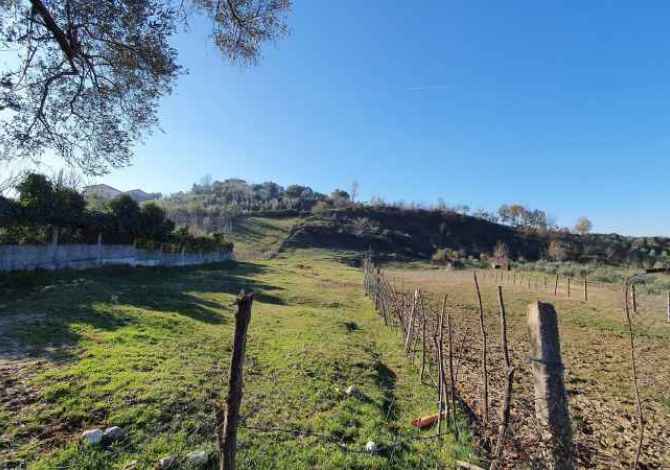 Truall ose Toke ne Tirane - 225,000 Euro