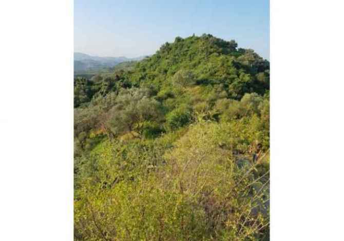 Truall ose Toke ne Tirane - 900,000 Euro