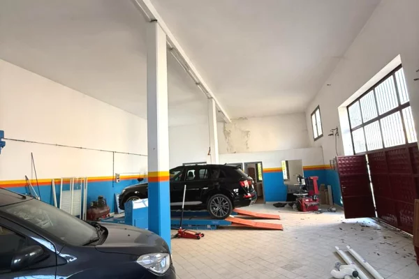 Ambiente Commerciale in Affitto 4+1 a Tirana - 1,500 Euro