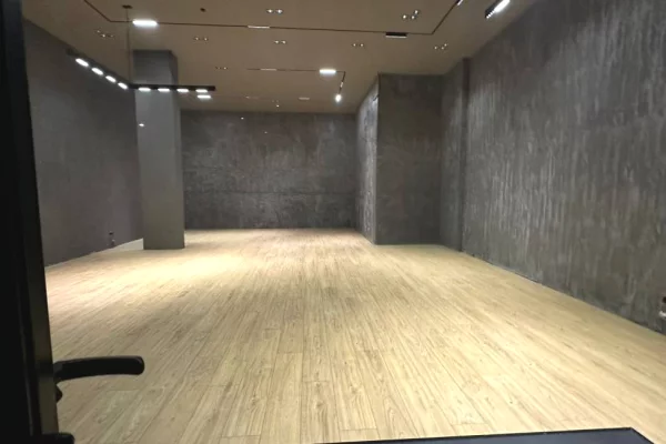 Business Property for Rent 1+1 in Tirana - 12,000 Euro