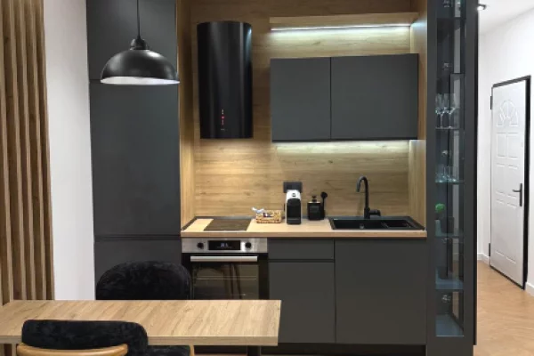 Shtepi me qera Apartament ne Tirane, 1+1, Mobilimi E mobiluar, Pagesa 850  Euro.