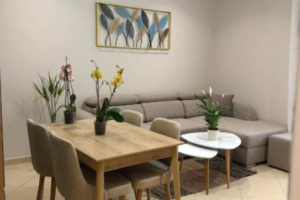 Appartamento in affitto a Tirana 1+1, Arredato