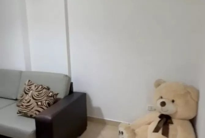 Shtepi me qera Apartament ne Tirane, 1+1, Mobilimi E mobiluar, Pagesa 500  Euro.