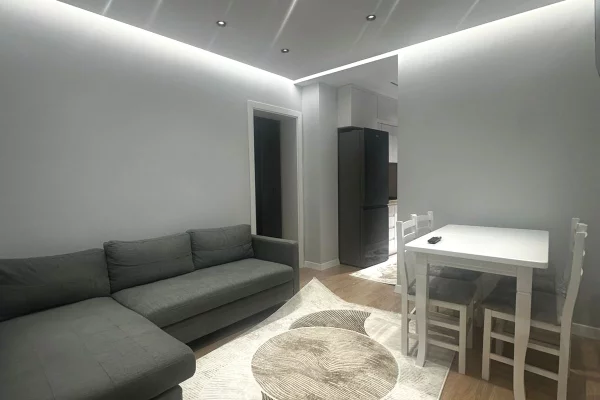 House for Rent 1+1 in Tirana - 50,000 Leke