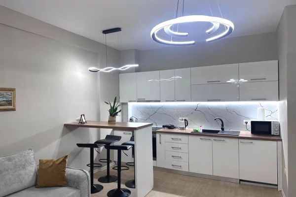 Shtepi me qera Apartament ne Tirane, 1+1, Mobilimi E mobiluar, Pagesa 65,000  Leke.