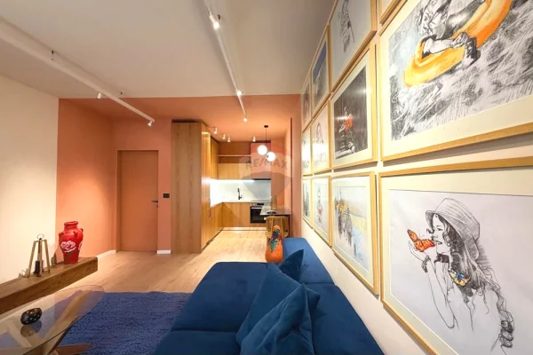 Shtepi me qera 1+1 ne Tirane - 1,000 Euro