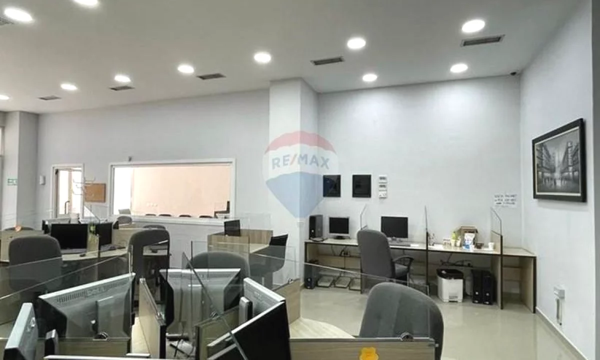 Zyre per Qira, ruga ALI DEMI!