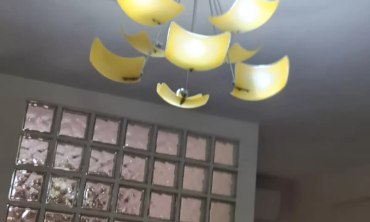 Foto 1
