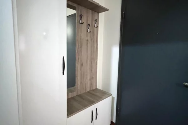 Shtepi ne shitje 1+1 ne Tirane - 110,000 Euro