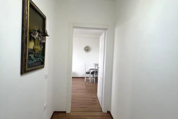 Shtepi ne shitje 1+1 ne Tirane - 110,000 Euro