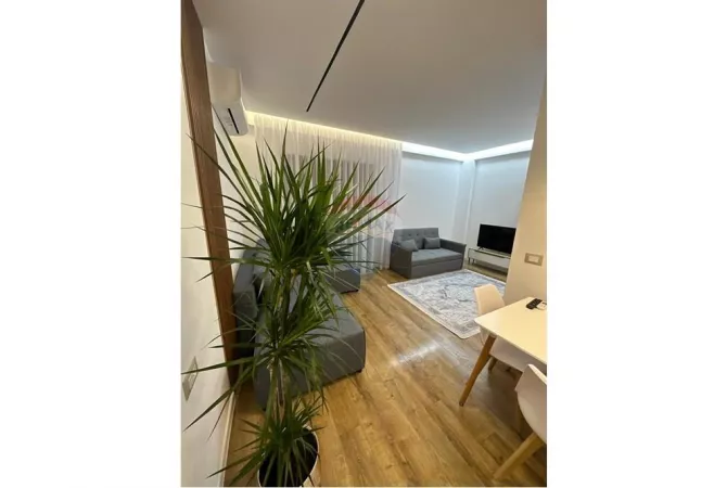 Shtepi me qera Apartament ne Tirane, 2+1, Mobilimi E mobiluar, Pagesa 650  Euro.