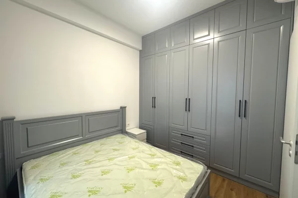 Apartment for rent in Tirana 1+1, Furnished