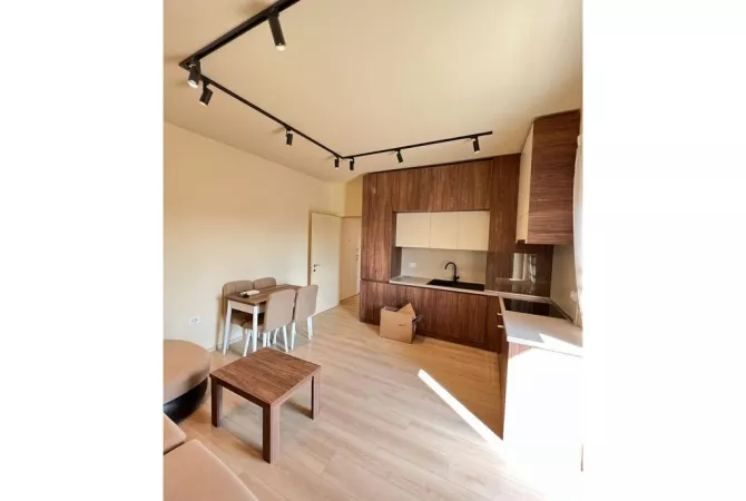 House for Rent 1+1 in Tirana - 850 Euro