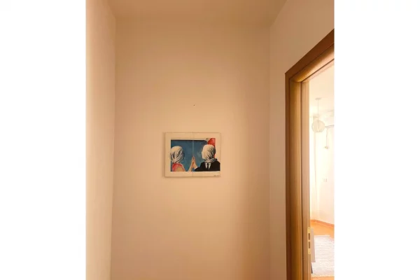 Shtepi me qera Apartament ne Tirane, 1+1, Mobilimi E mobiluar, Pagesa 450  Euro.