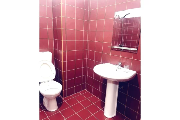 Shtepi me qera Apartament ne Tirane, 1+1, Mobilimi E mobiluar, Pagesa 450  Euro.