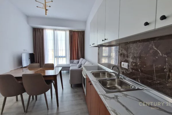 Shtepi me qera Apartament ne Tirane, 1+1, Mobilimi E mobiluar, Pagesa 460  Euro.