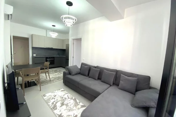 Shtepi me qera Apartament ne Tirane, 1+1, Mobilimi E mobiluar, Pagesa 55,000  Leke.