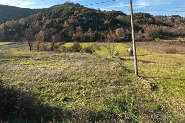 Truall ose Toke  ne Tirane - 1,400,000 Euro