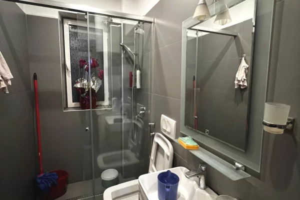 Shtepi me qera Apartament ne Tirane, 2+1, Mobilimi E mobiluar, Pagesa 650  Euro.