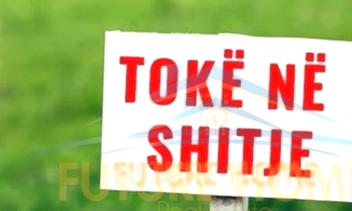 Shitet, Toke ne Ibe , Elbasan