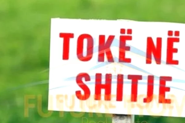 Shitet, Toke ne Ibe , Elbasan