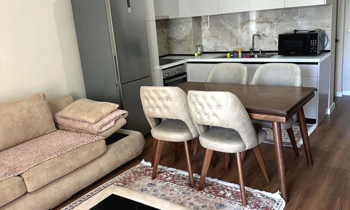 Shtepi me qera Apartament ne Tirane, 1+1, Mobilimi E mobiluar, Pagesa 500  Euro.