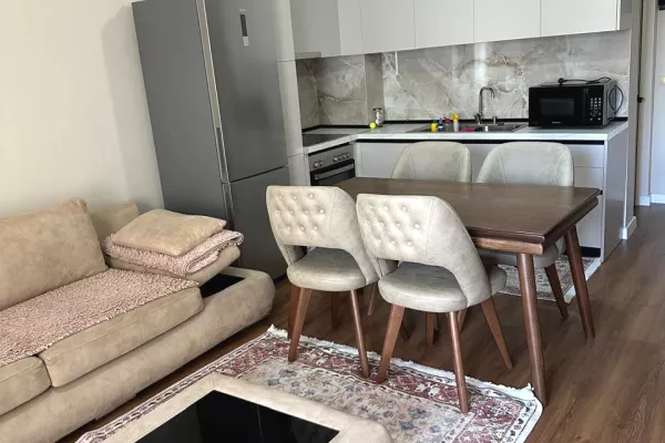Shtepi me qera 1+1 ne Tirane - 500 Euro
