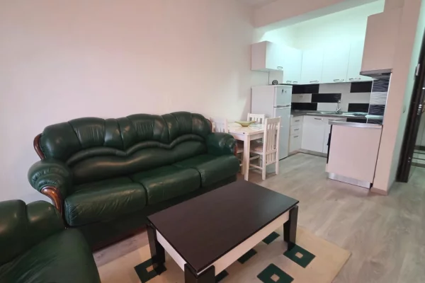 Apartment for rent in Tirana 1+1, Furnished