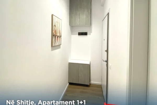 Shtepi ne shitje Apartament ne Tirane, 1+1, Mobilimi E mobiluar, Pagesa 89,000  Euro.